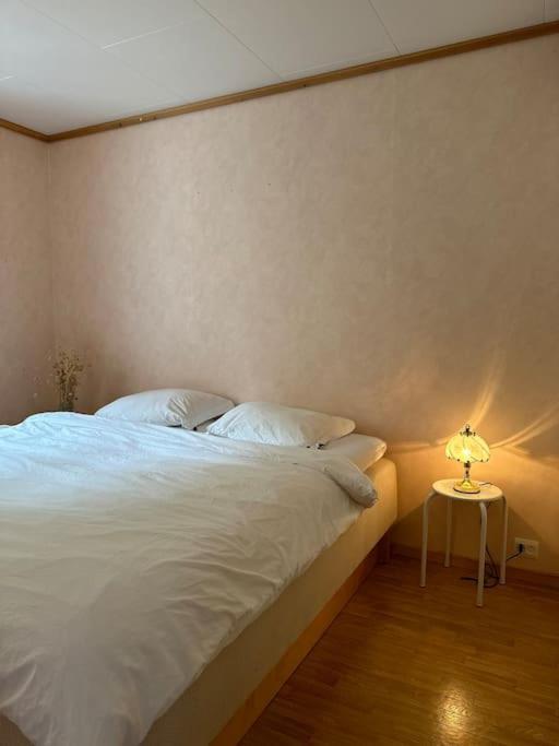 Hus Med Panorama Utsikt